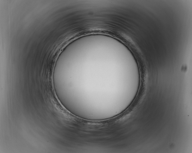 X0000112090825200908041046