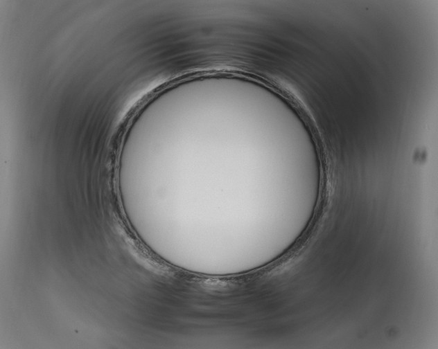 X0000112090827200908041046