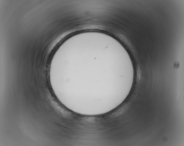 X0000112090828200908041046
