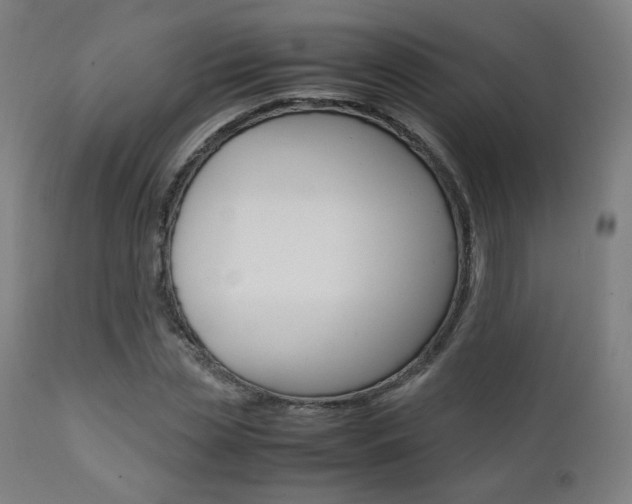 X0000112090829200908041046