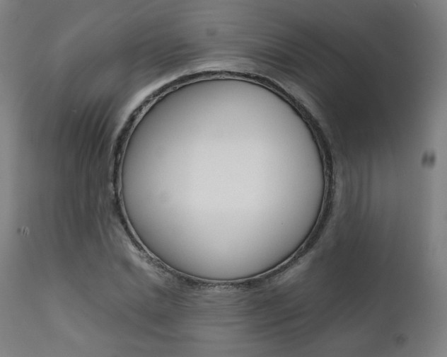 X0000112090830200908041046