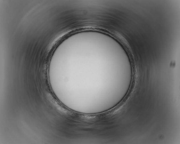 X0000112090831200908041046