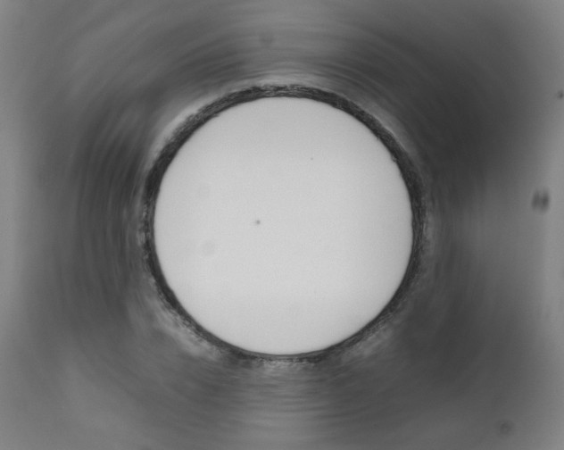X0000112090832200908041046