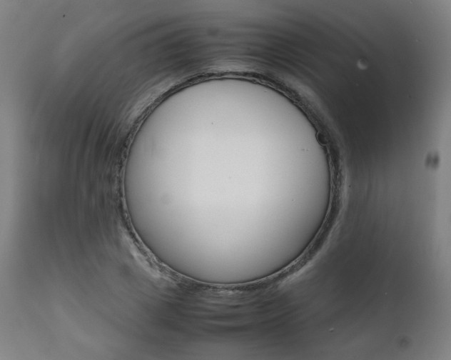 X0000112090833200908041046