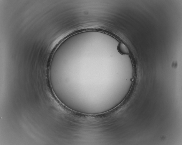 X0000112090834200908041046