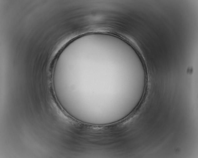 X0000112090835200908041046