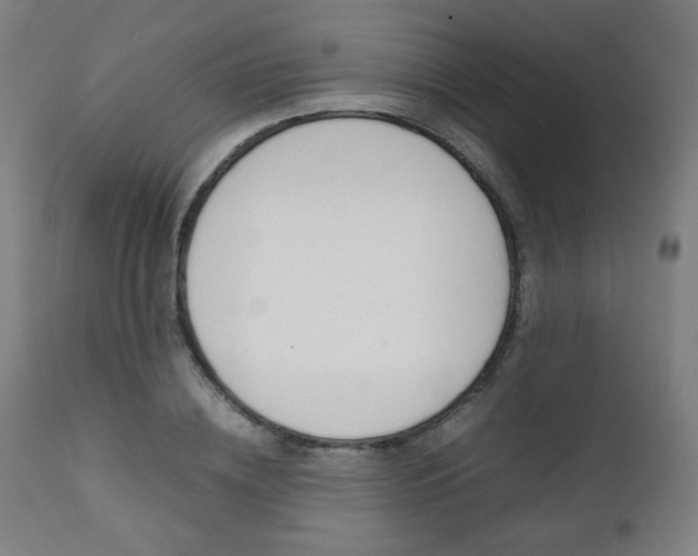 X0000112090836200908041046