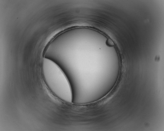 X0000112090837200908041046