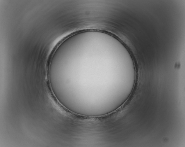 X0000112090838200908041046