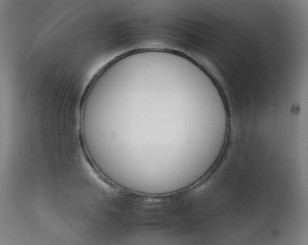 X0000112090839200908041046