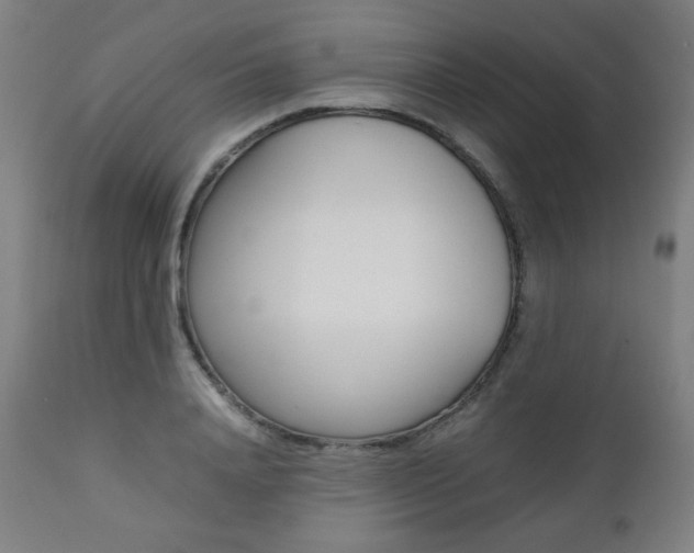 X0000112090840200908041046