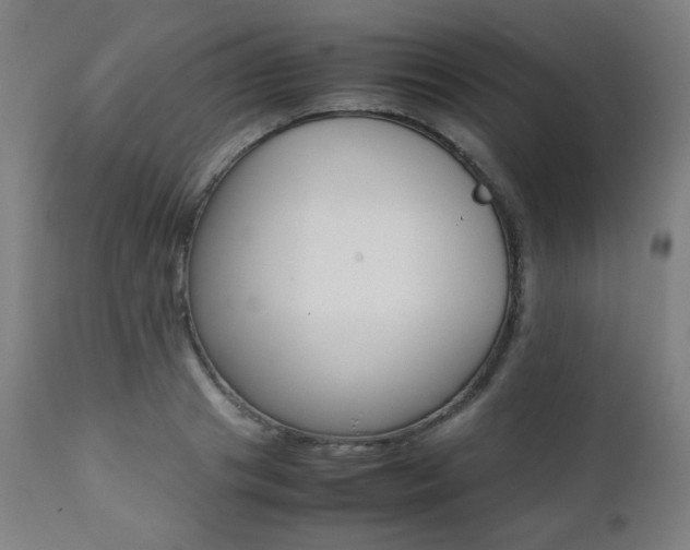 X0000112090841200908041046