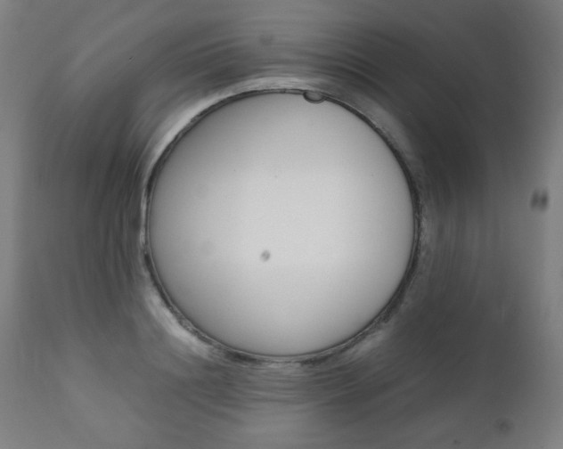X0000112090844200908041046