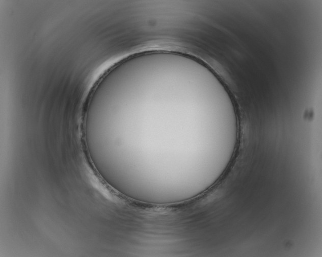 X0000112090846200908041046