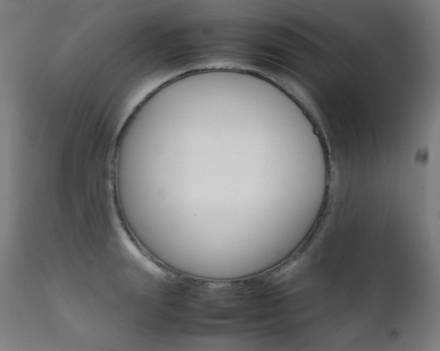 X0000112090847200908041046