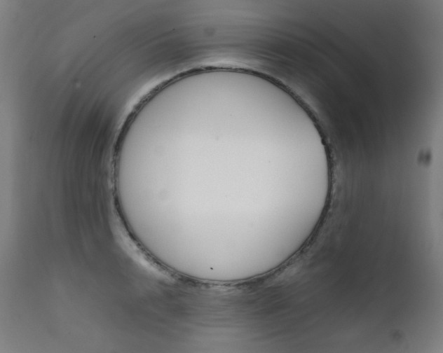 X0000112090848200908041046