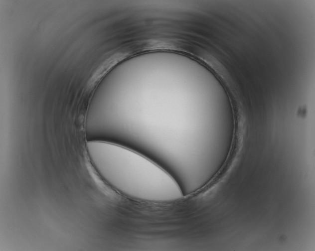 X0000112090849200908041046