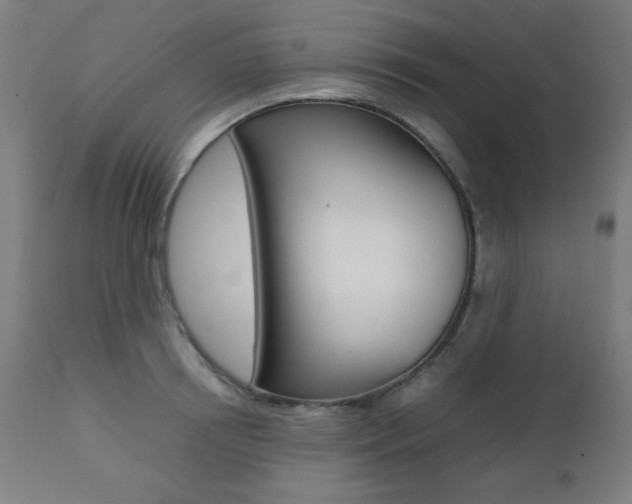 X0000112090850200908041046