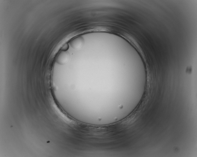 X0000112090851200908041046