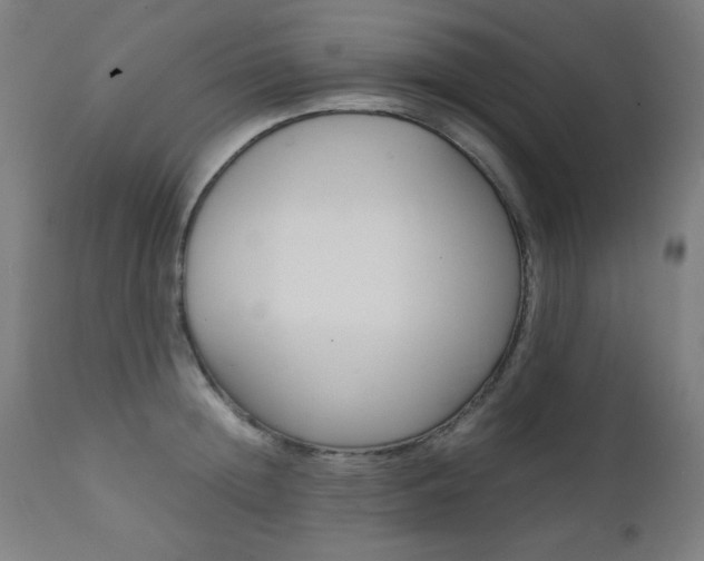 X0000112090852200908041046