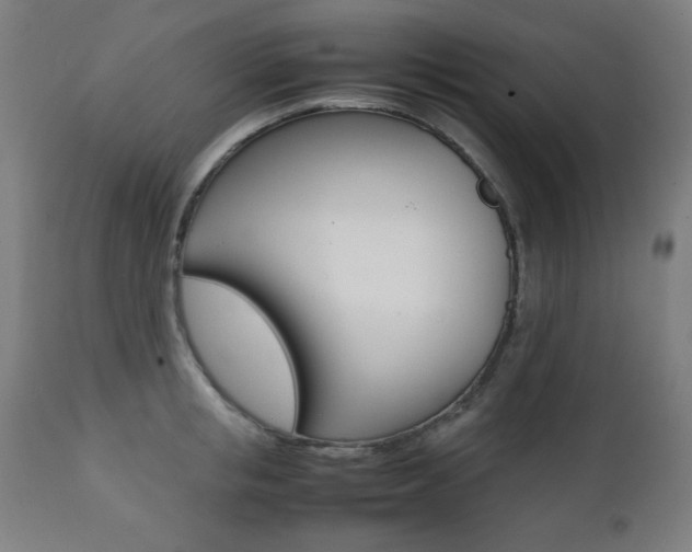 X0000112090853200908041046