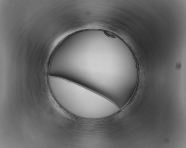 X0000112090854200908041046