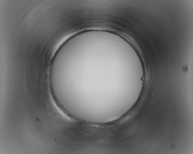 X0000112090855200908041046