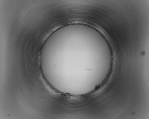 X0000112090857200908041046
