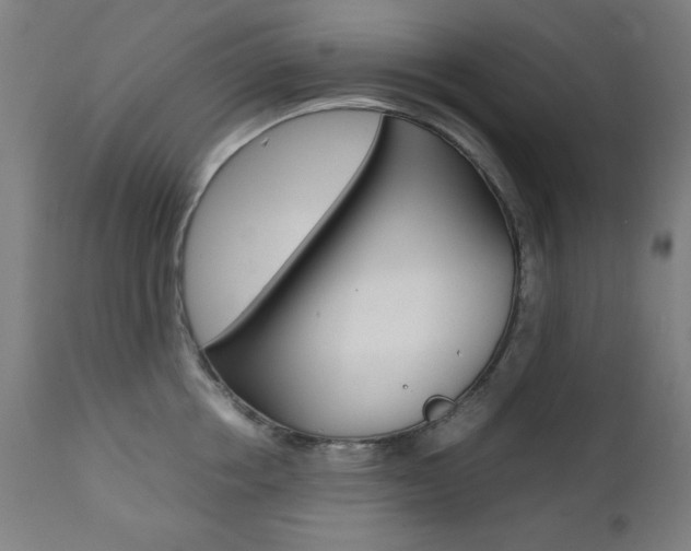 X0000112090858200908041046
