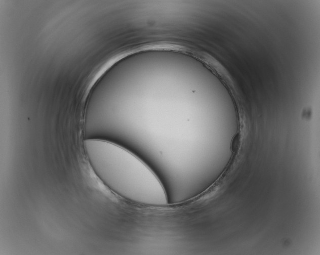X0000112090860200908041046