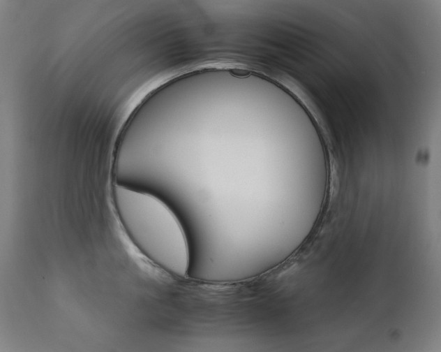 X0000112090861200908041046