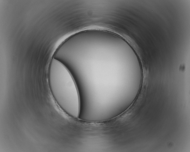 X0000112090862200908041046