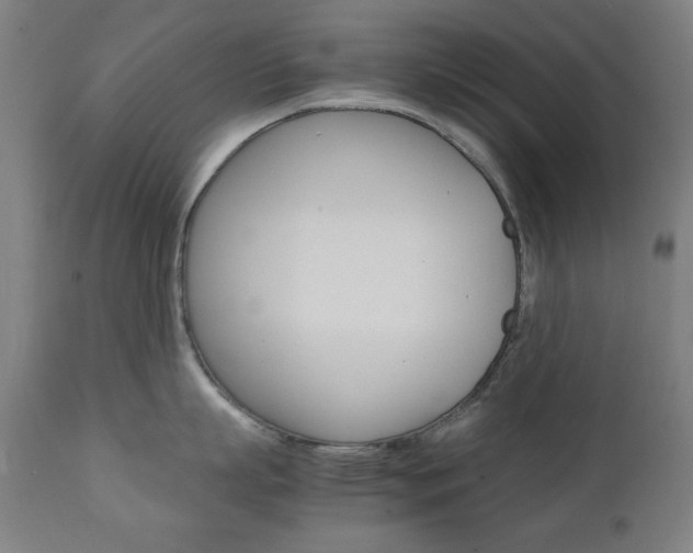 X0000112090863200908041046