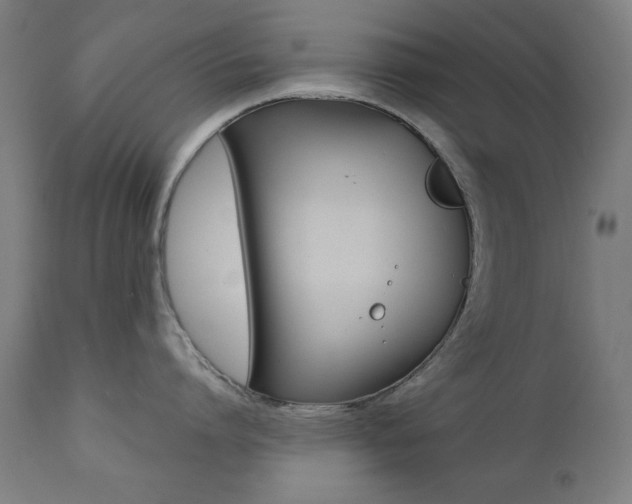 X0000112090864200908041046