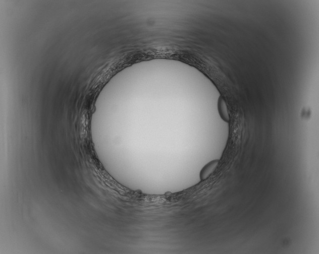X0000112090866200908041045