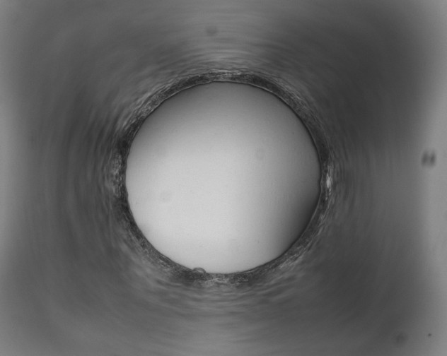 X0000112090867200908041045