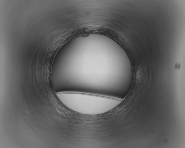 X0000112090868200908041045