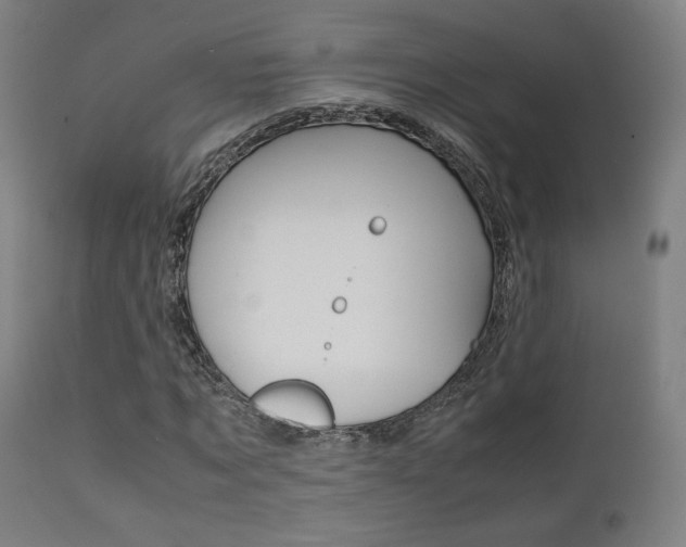 X0000112090869200908041045
