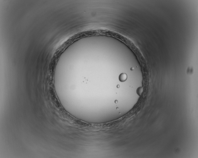 X0000112090871200908041045