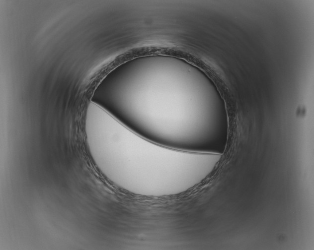 X0000112090872200908041045