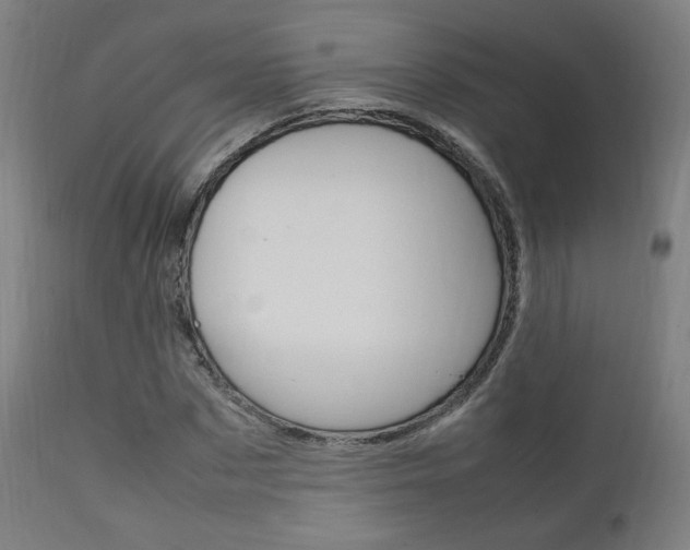 X0000112090873200908041045