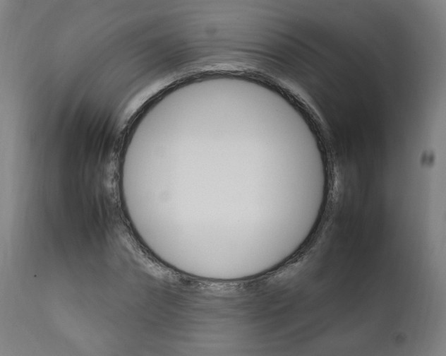 X0000112090874200908041045