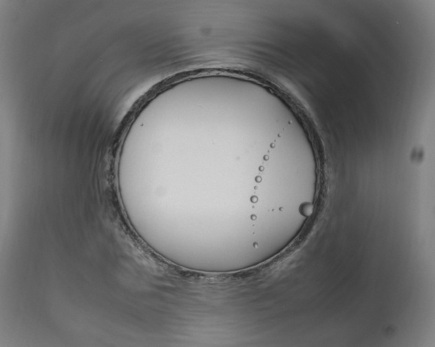 X0000112090875200908041045