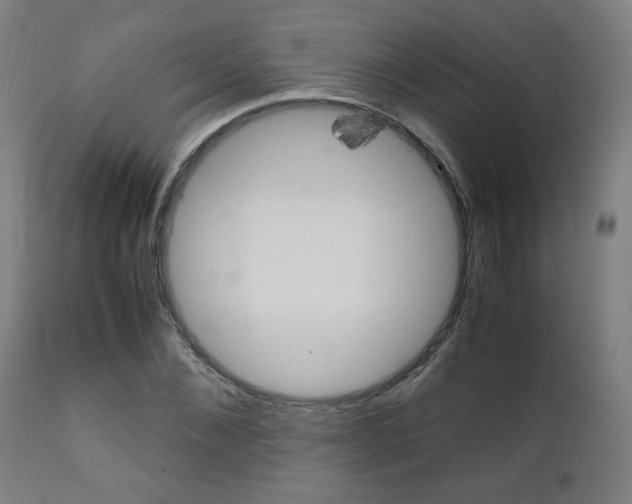 X0000112090876200908041045