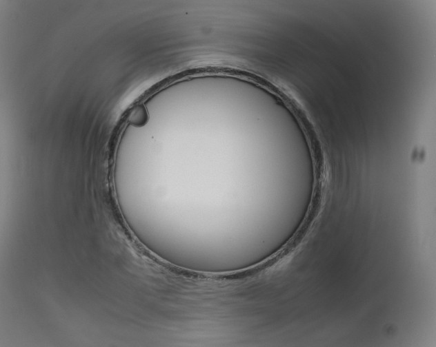 X0000112090877200908041045