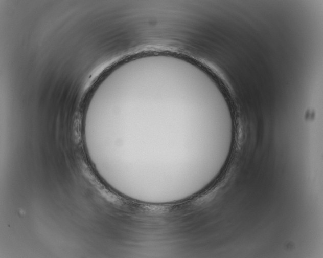 X0000112090878200908041045
