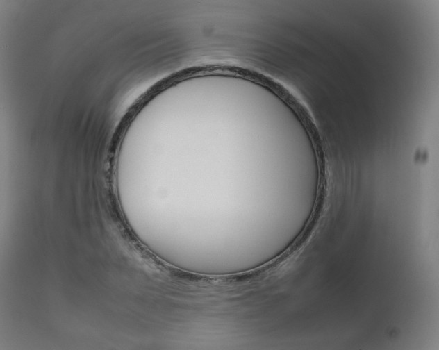 X0000112090879200908041045