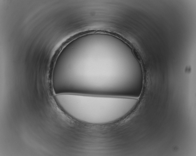 X0000112090880200908041045