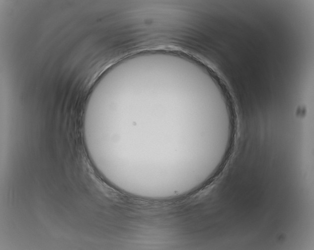 X0000112090881200908041045