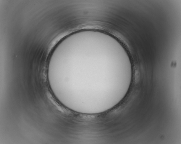 X0000112090882200908041045